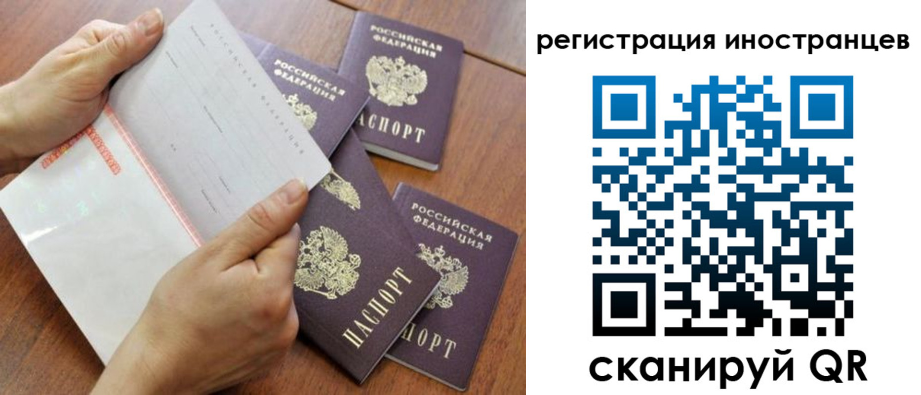 временная регистрация надежно в Светлогорске